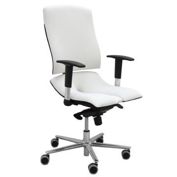 Ergonomischer Bürostuhl Standard