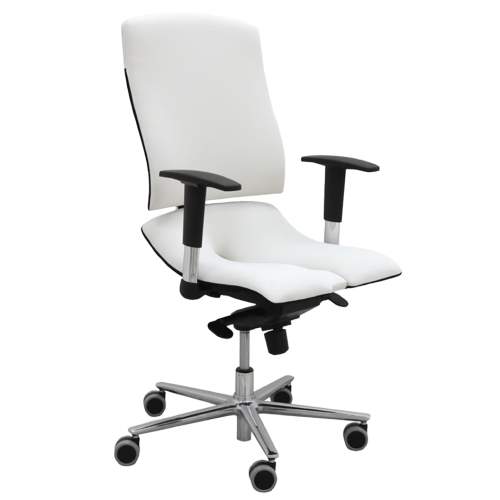 Ergonomischer Bürostuhl Standard
